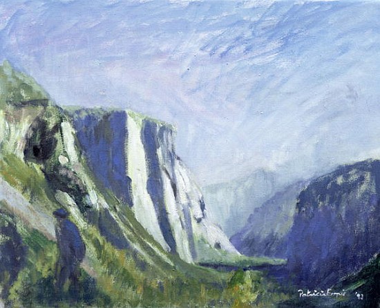 El Capitan, Yosemite National Park, 1993 (oil on canvas)  from Patricia  Espir
