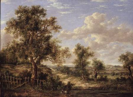Landscape from Patrick Nasmyth