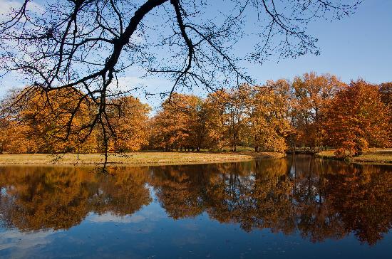 Branitzer Park im Herbst from Patrick Pleul