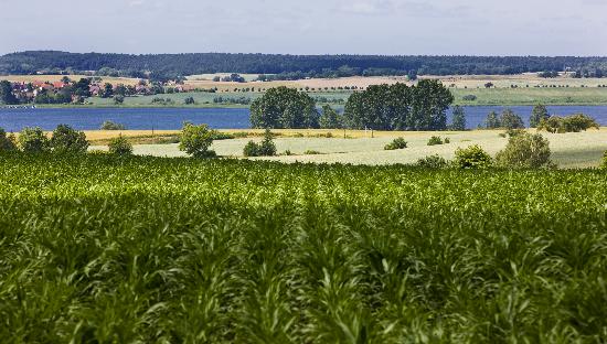 Landschaft der Uckermark in Brandenburg from Patrick Pleul