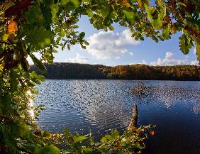 Herbst im Schlaubetal