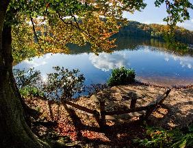 Herbst im Schlaubetal