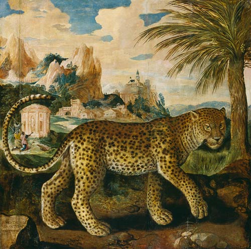 Ein Leopard. from Paul de Vos