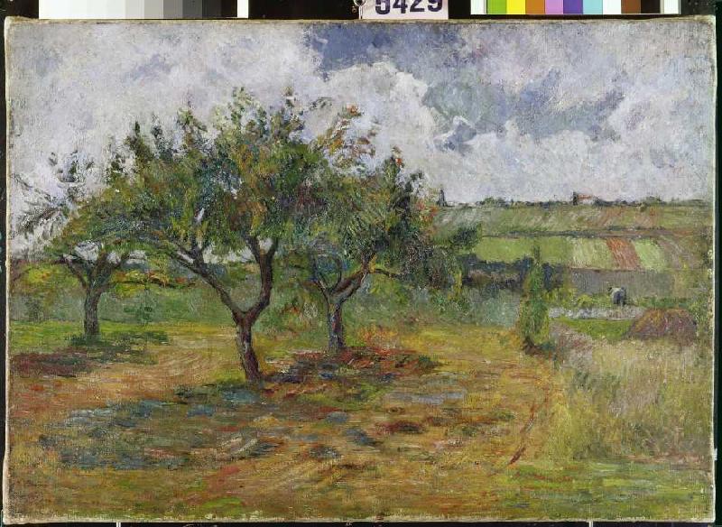 Felder und Bäume from Paul Gauguin