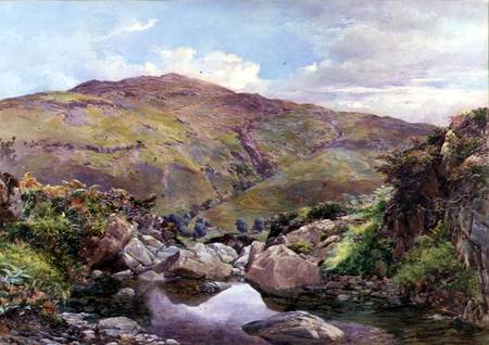 The Hill Stream from Paul Jacob Naftel