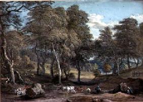 Windsor Forest with Oxen Drawing Timber