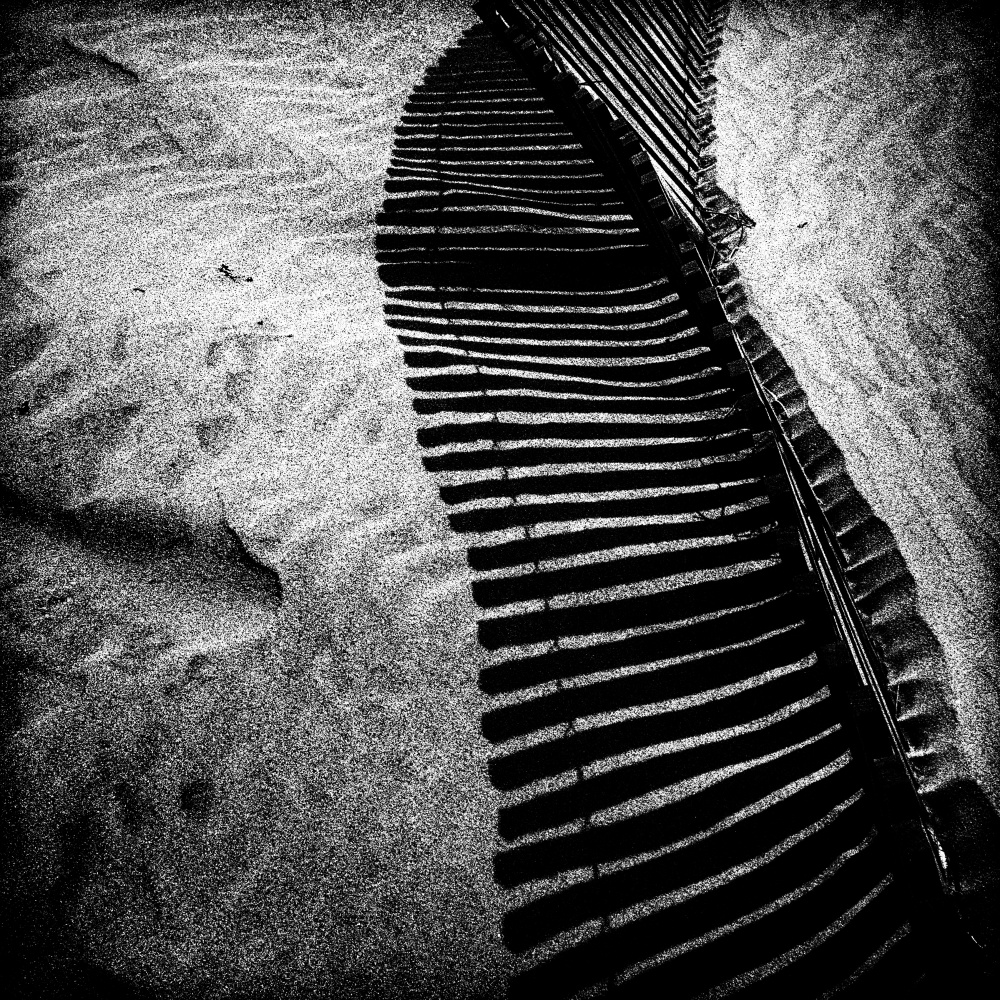 Schwarzer Sommer from Paulo Abrantes