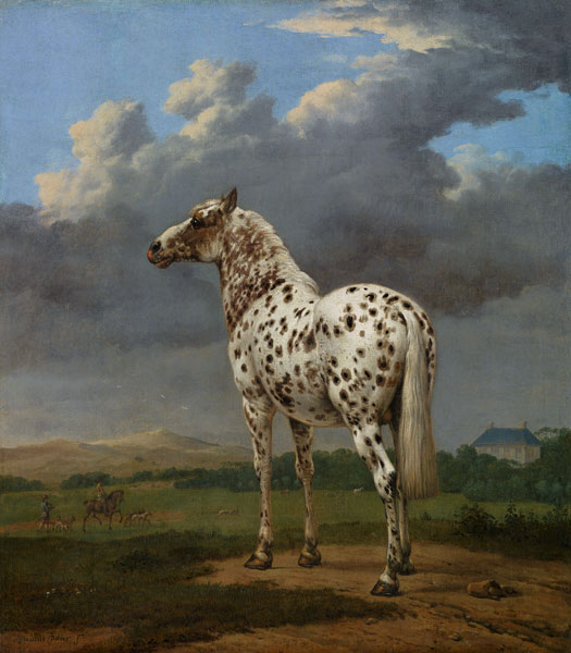Piebald Horse from Paulus Potter