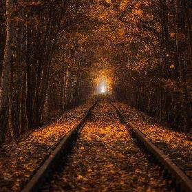 Herbsttunnel