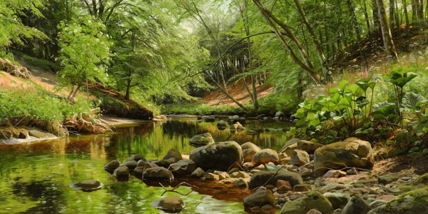Sunny Forest Stream from Peder Moensted