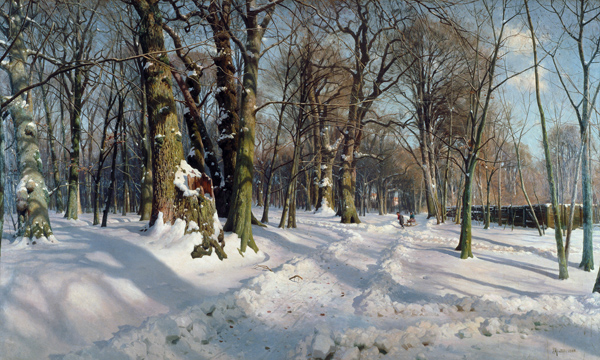 Snowy Winter Forest in the Sunlight from Peder Moensted