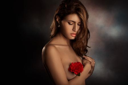 Eine rote Blume auf dem Herzen