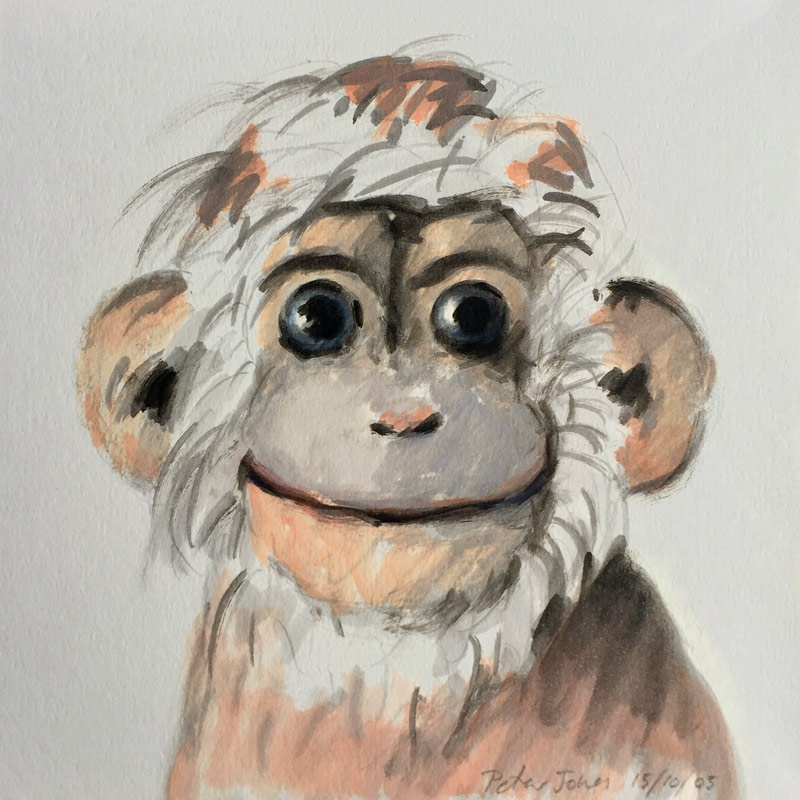 Happy Monkey from Peter Jones