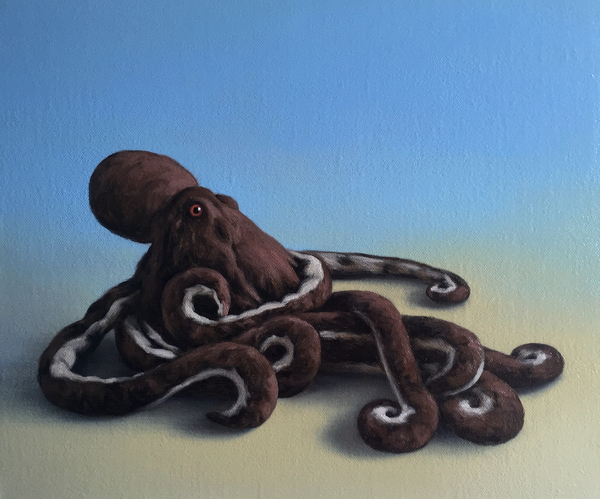 Octopus from Peter Jones