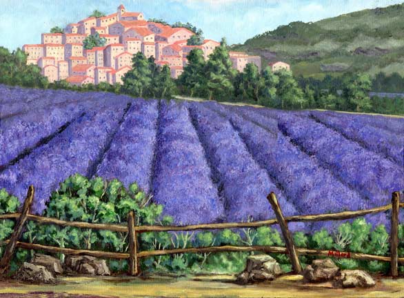 The French Lavenderfield from Peter Millard
