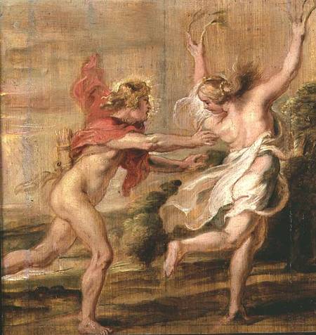 Apollo and Daphne from Peter Paul Rubens
