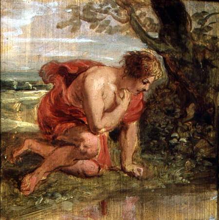 Narcissus from Peter Paul Rubens