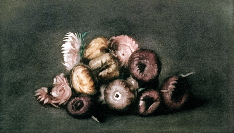 Still Life of Dried Flowers (coloured mezzotint) from Peter Vilhelm Ilsted