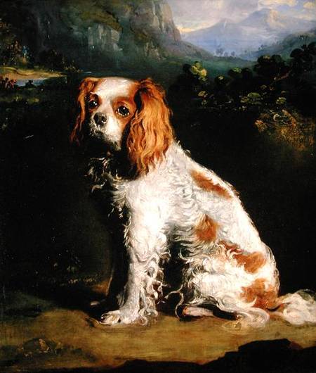 A King Charles Spaniel from Philip Reinagle