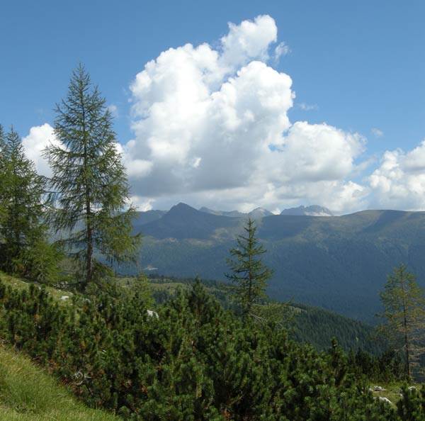 Paesaggio Montano Estivo a Padola
2007 from Andrea Piccinini