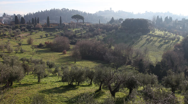 Paesaggio Collinare nei dintorni di Firenze
2013 from Andrea Piccinini