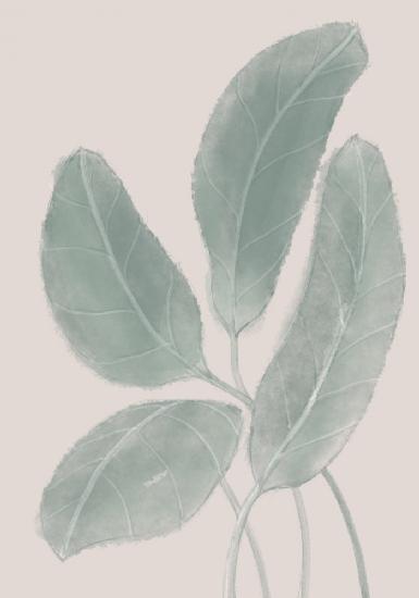 Blätter Aquarell
