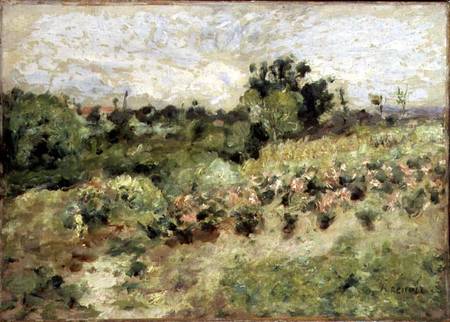 Field of Roses from Pierre-Auguste Renoir