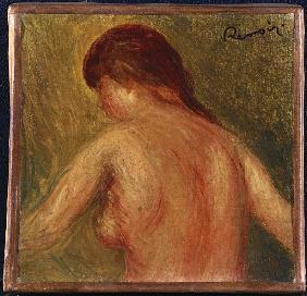Nude Female Torso, from the Back