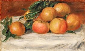 Still Life With Apples And Oranges
