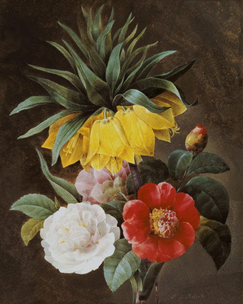 Exotic Flowers from Pierre Joseph Redouté