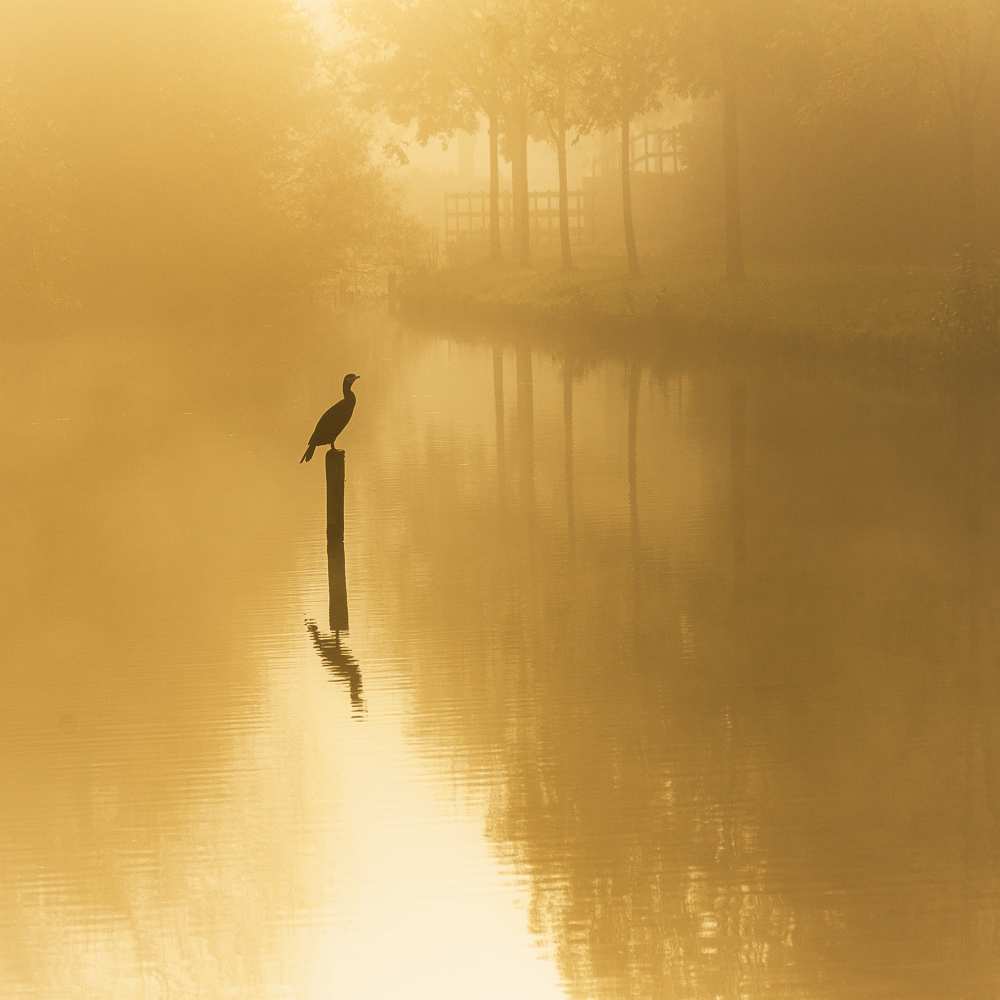  waiting for the sun .......... from Piet Haaksma