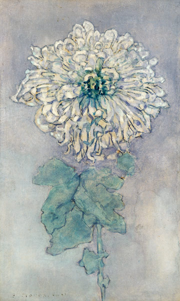 Chrysanthemum from Piet Mondrian