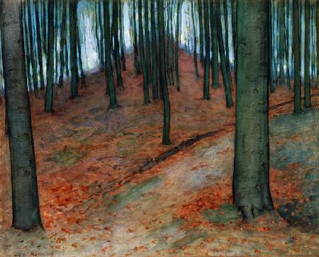 Wood with Beech Trees