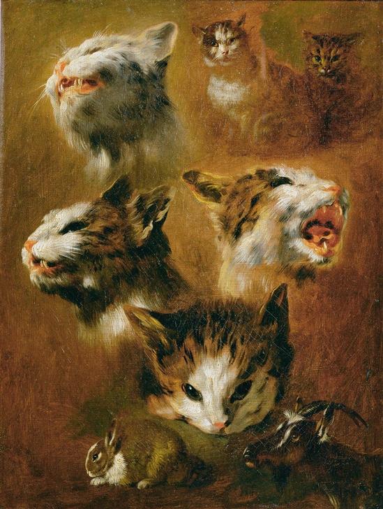Tierstudien: Katzen, Kaninchen und Ziege from Pieter Boel
