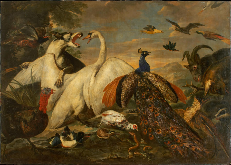 Kampf der Tiere als Tugend-Laster-Allegorie from Pieter Boel