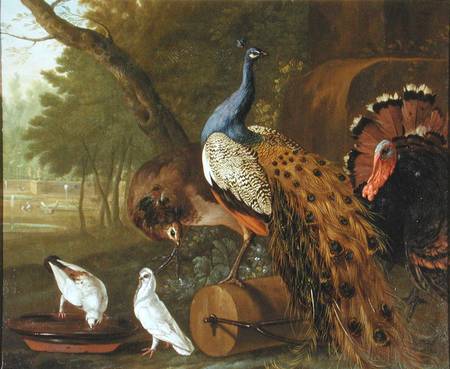 An Assembly of Birds in a Classical Park from Pieter Casteels
