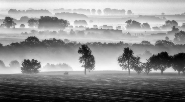 morning view from Piotr Krol (Bax)