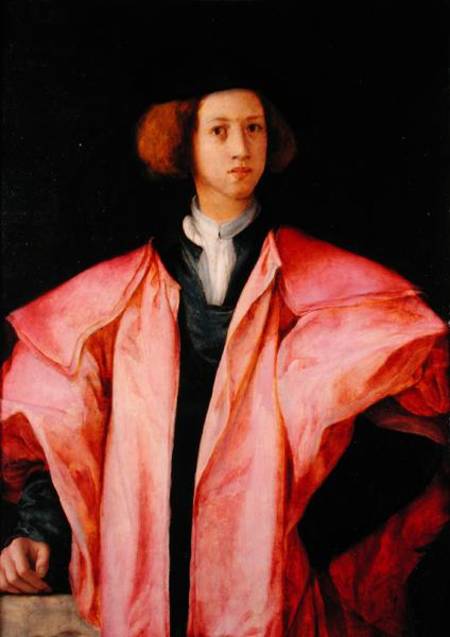 Portrait of a Young Man from Pontormo,Jacopo Carucci da