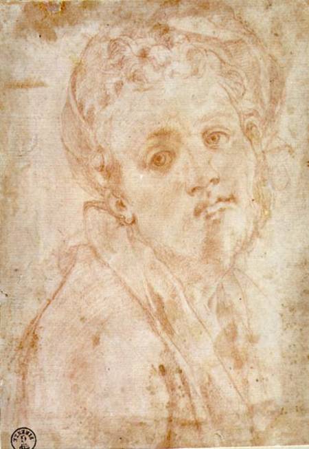 Self Portrait from Pontormo,Jacopo Carucci da