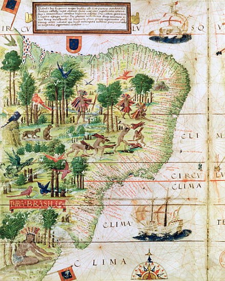 Brazil from the ''Miller Atlas'' Pedro Reinel, c.1519 (detail of 75615) from Portuguese School