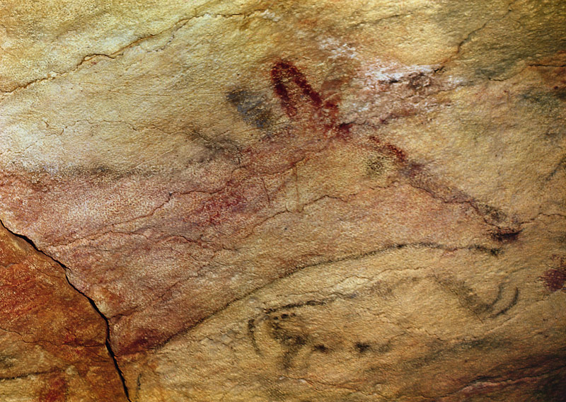 Stag from the Caves of Altamira from Prehistoric