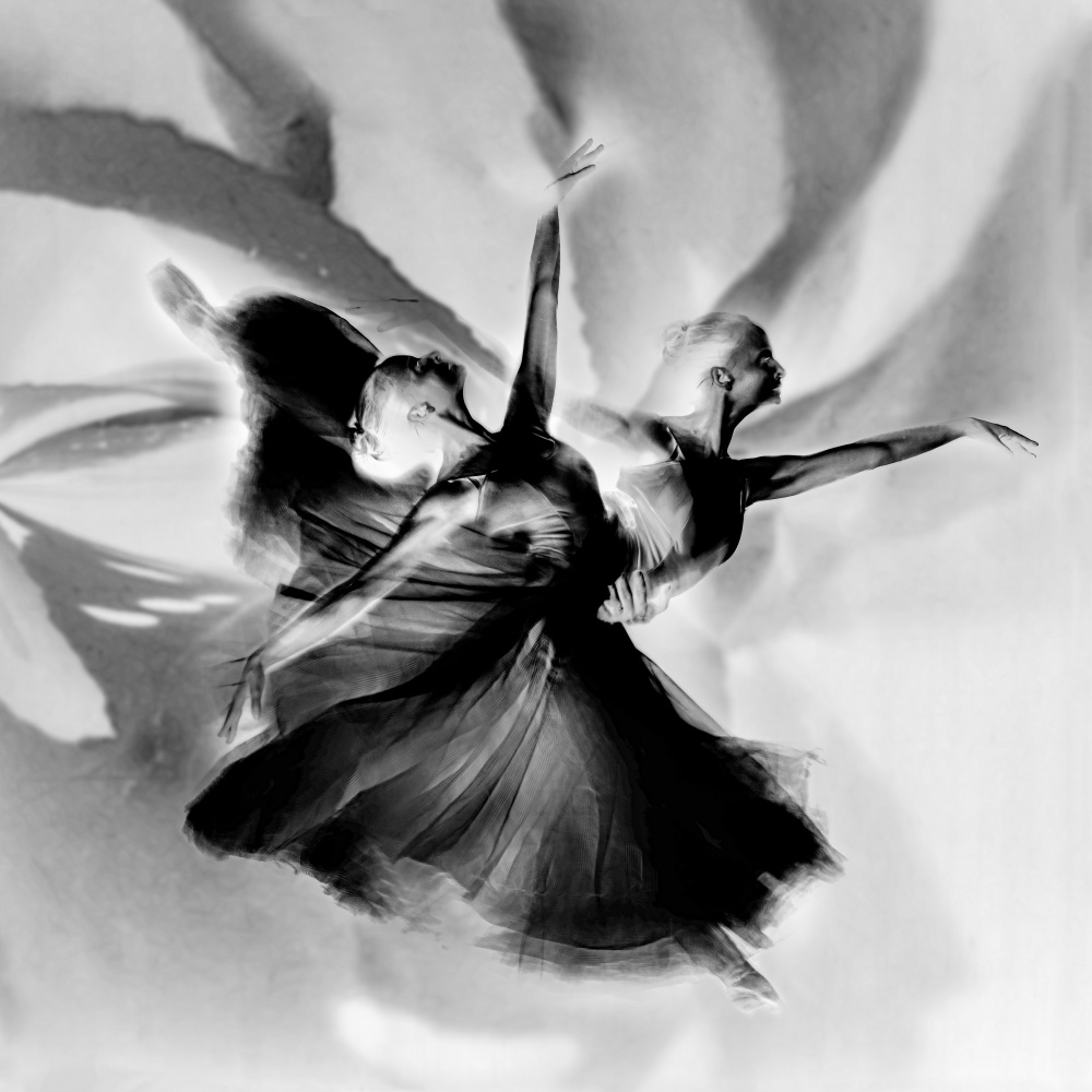 Tanzen Sie in Schwarz und Weiß from Rachel Pansky