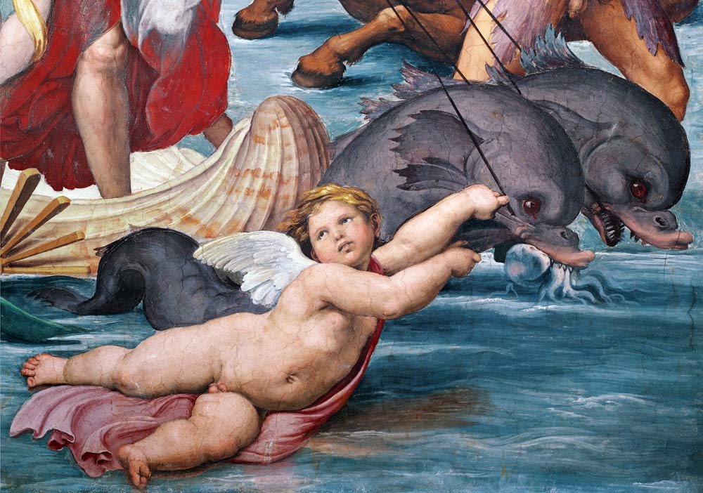 Galatea, detail of putto and dolphins from (Raffael) Raffaello Santi