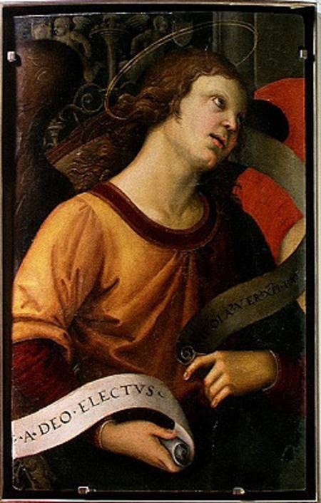 Angel, from the polyptych of St. Nicolas of Tolentino from (Raffael) Raffaello Santi