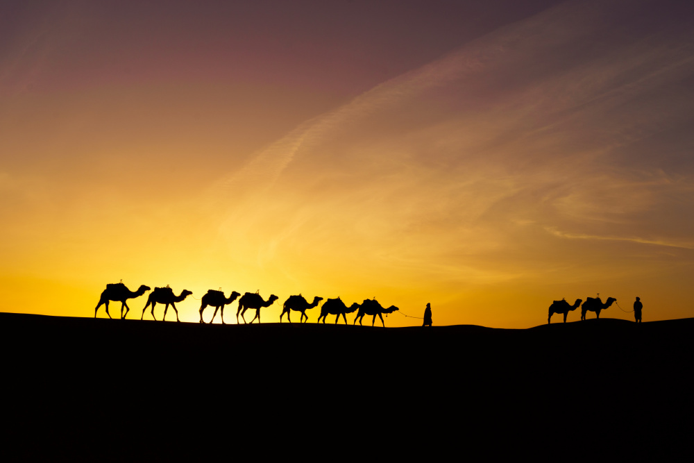 Sonnenaufgangssilhouette von Kamelen und Hundeführer,Merzouga from Ran Dembo
