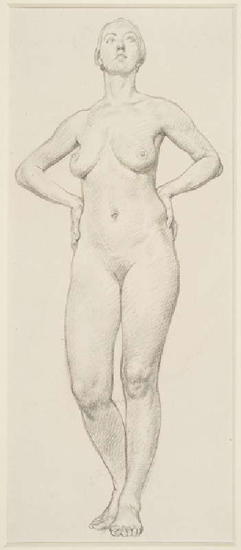A Study of a Female (pencil on paper) from Randolph Schwabe