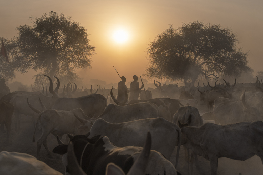 Sonnenuntergang im Rinderlager Mundari,Südsudan from Raul Cacho Oses