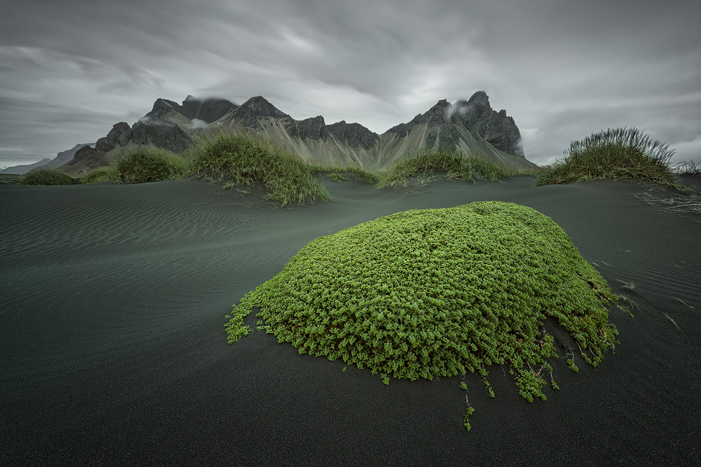 grüne Insel from Raymond Hoffmann