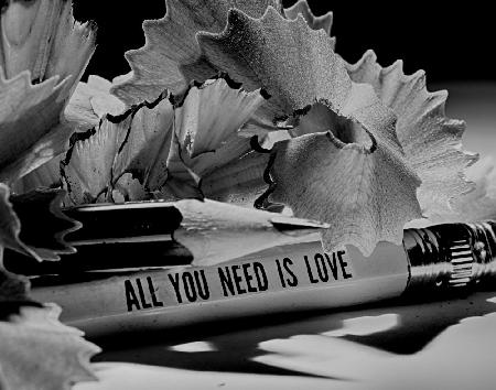 Alles was du brauchst ist Liebe
