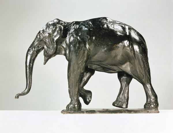 White Elephant (bronze) from Rembrandt Bugatti
